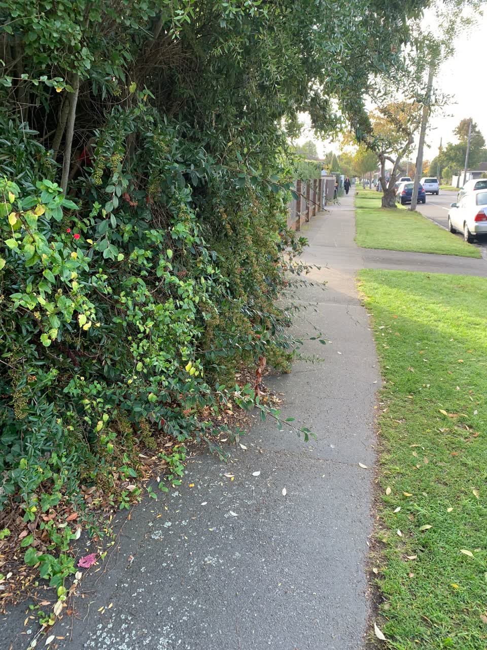 The photograph attached to this roading/streets report