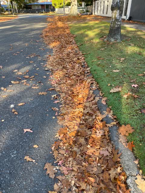 Roading/Streets, a report photo