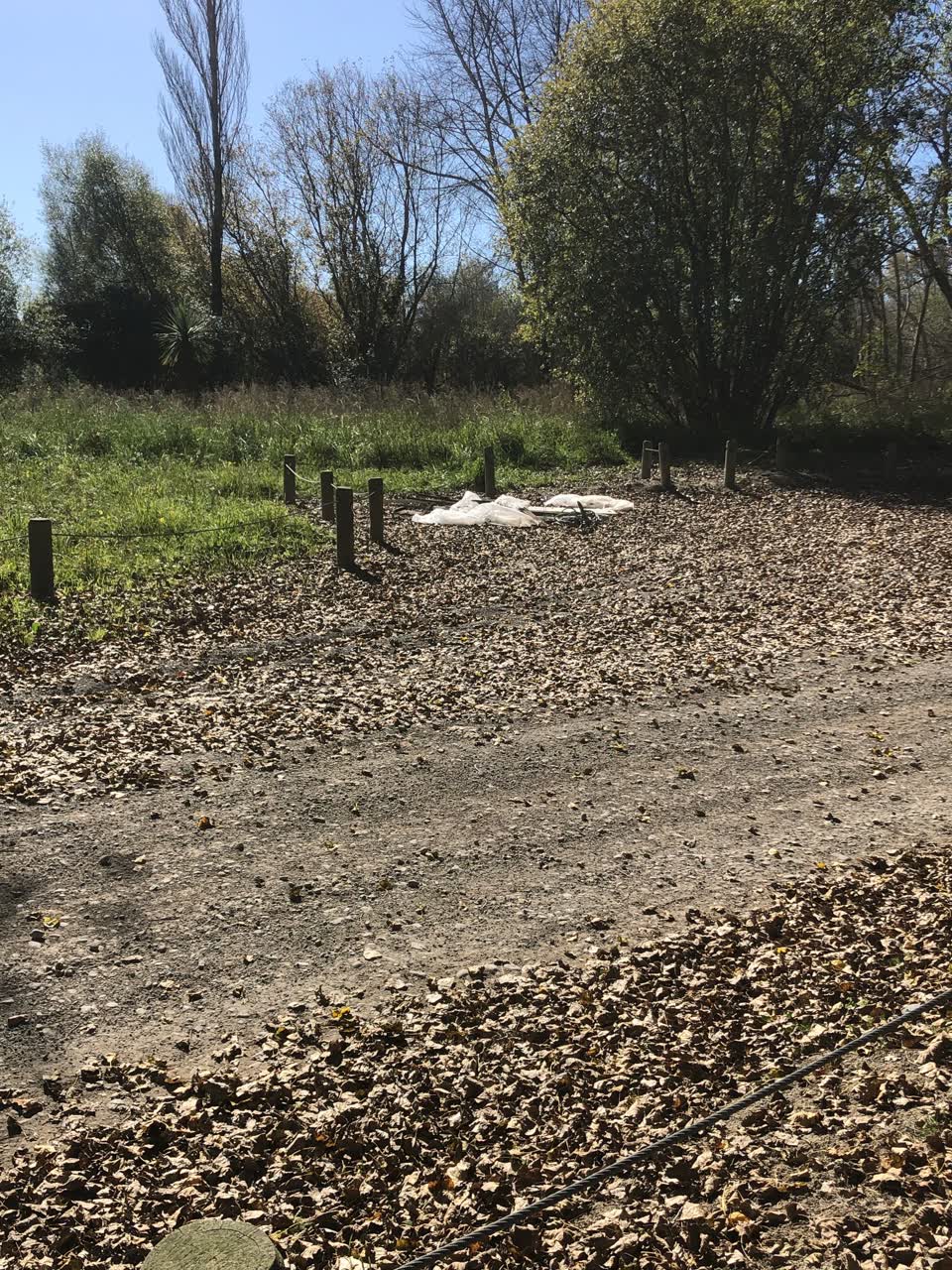 The photograph attached to this parks report