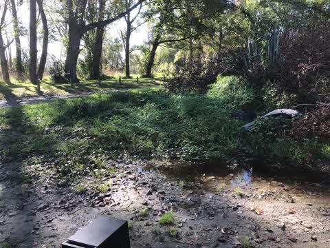 Parks — a report photo