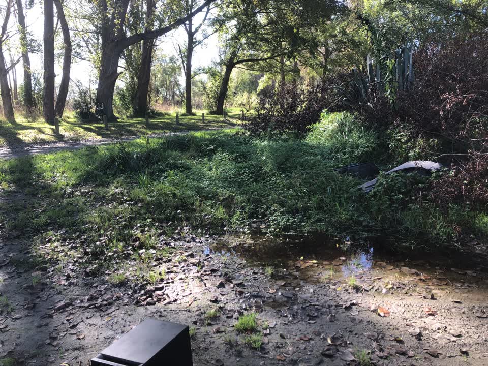 The photograph attached to this parks report