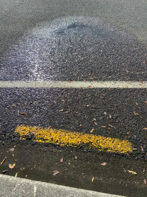 Water Leak, a report photo