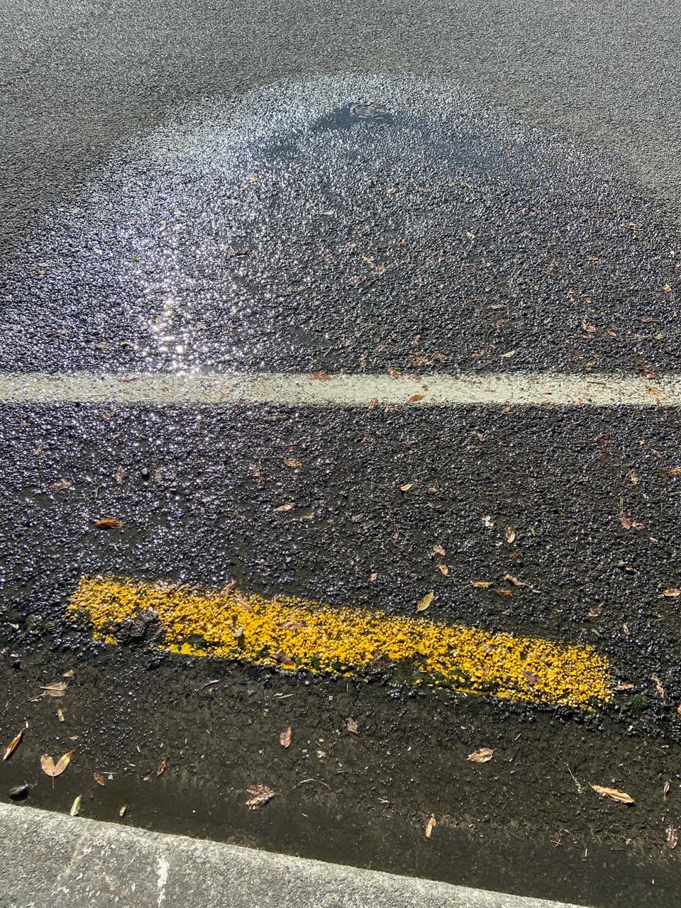 The photograph attached to this water leak report