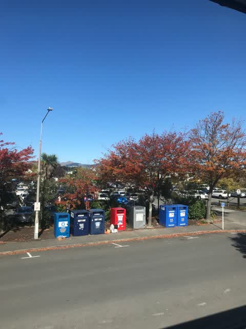 Rubbish/Recycling, a report photo