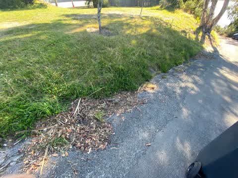 Roading/Streets — a report photo
