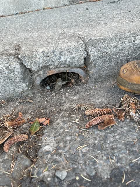 Wastewater/Stormwater — a report photo