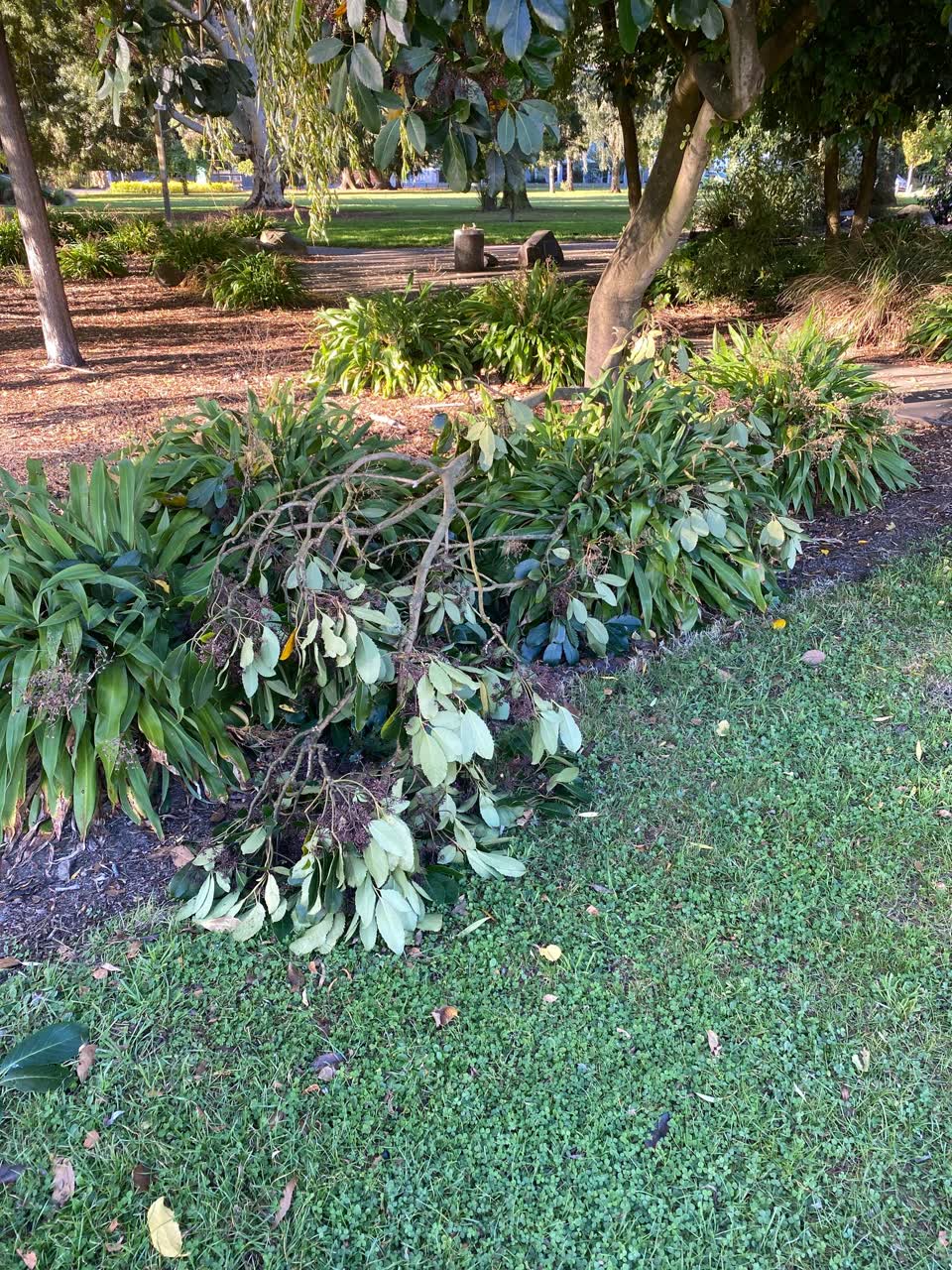 The photograph attached to this parks report