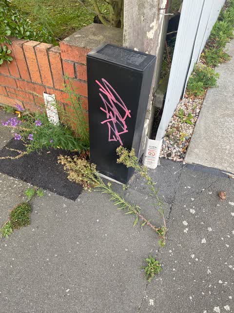 Graffiti, a report photo