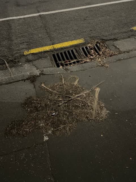 Rubbish/Recycling, a report photo