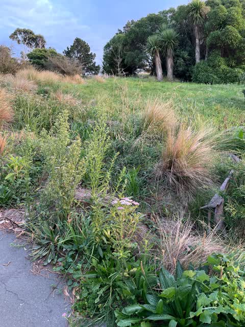 Parks, a report photo