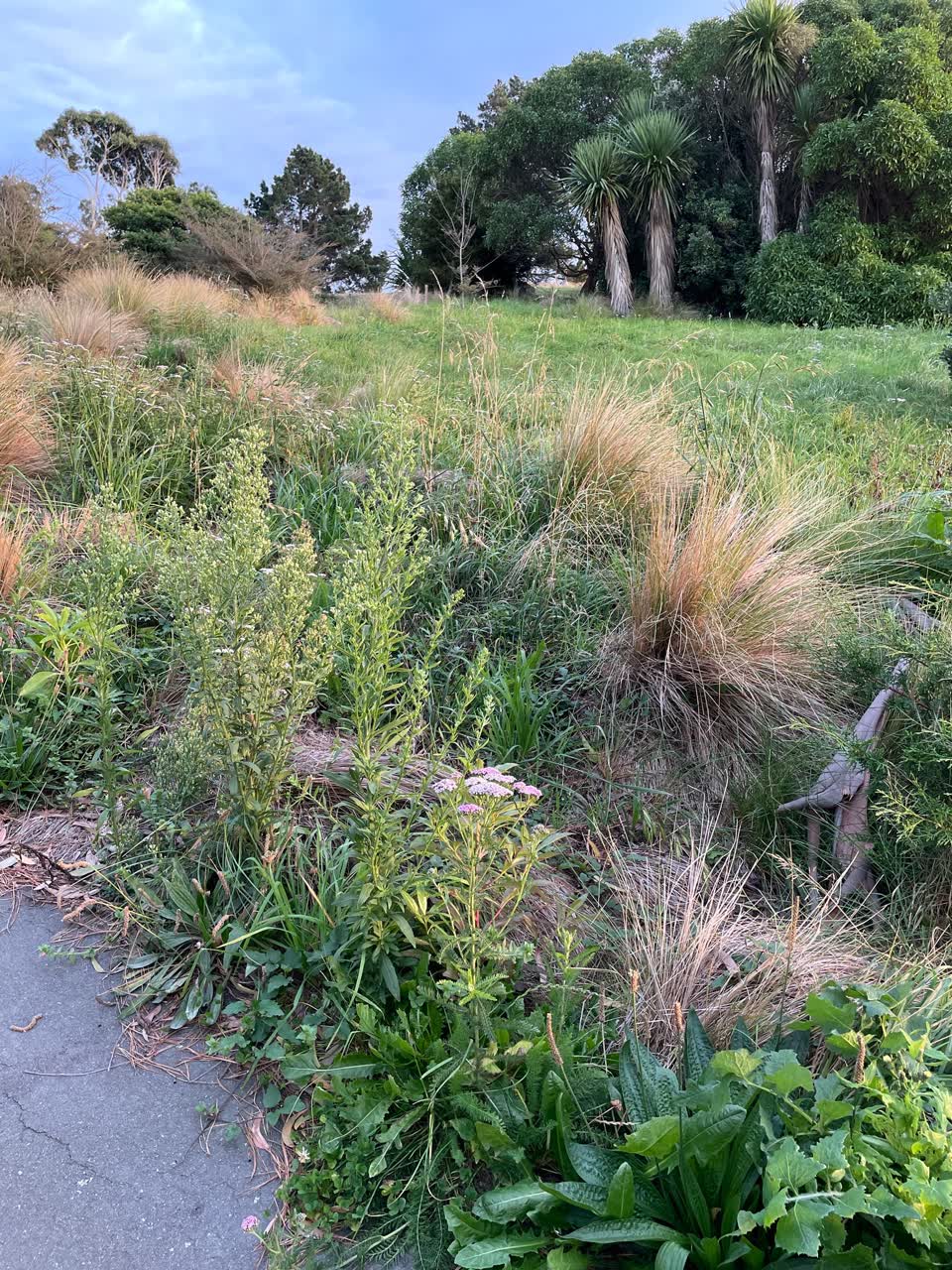 The photograph attached to this parks report