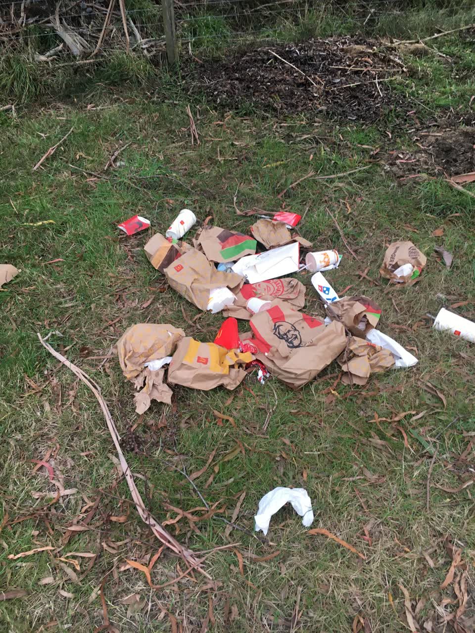 The photograph attached to this rubbish/recycling report