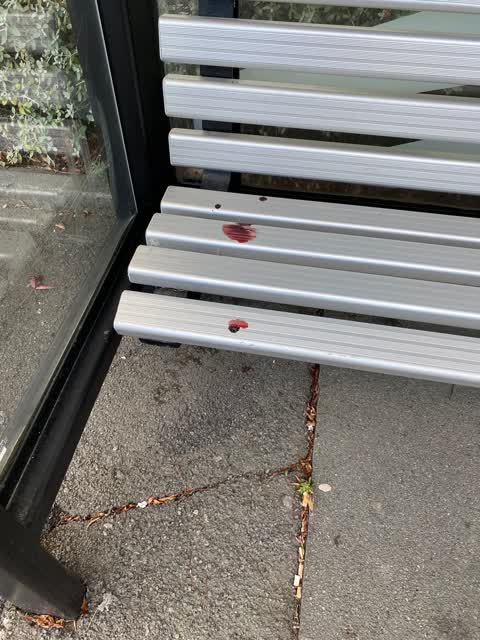 Roading/Streets, a report photo