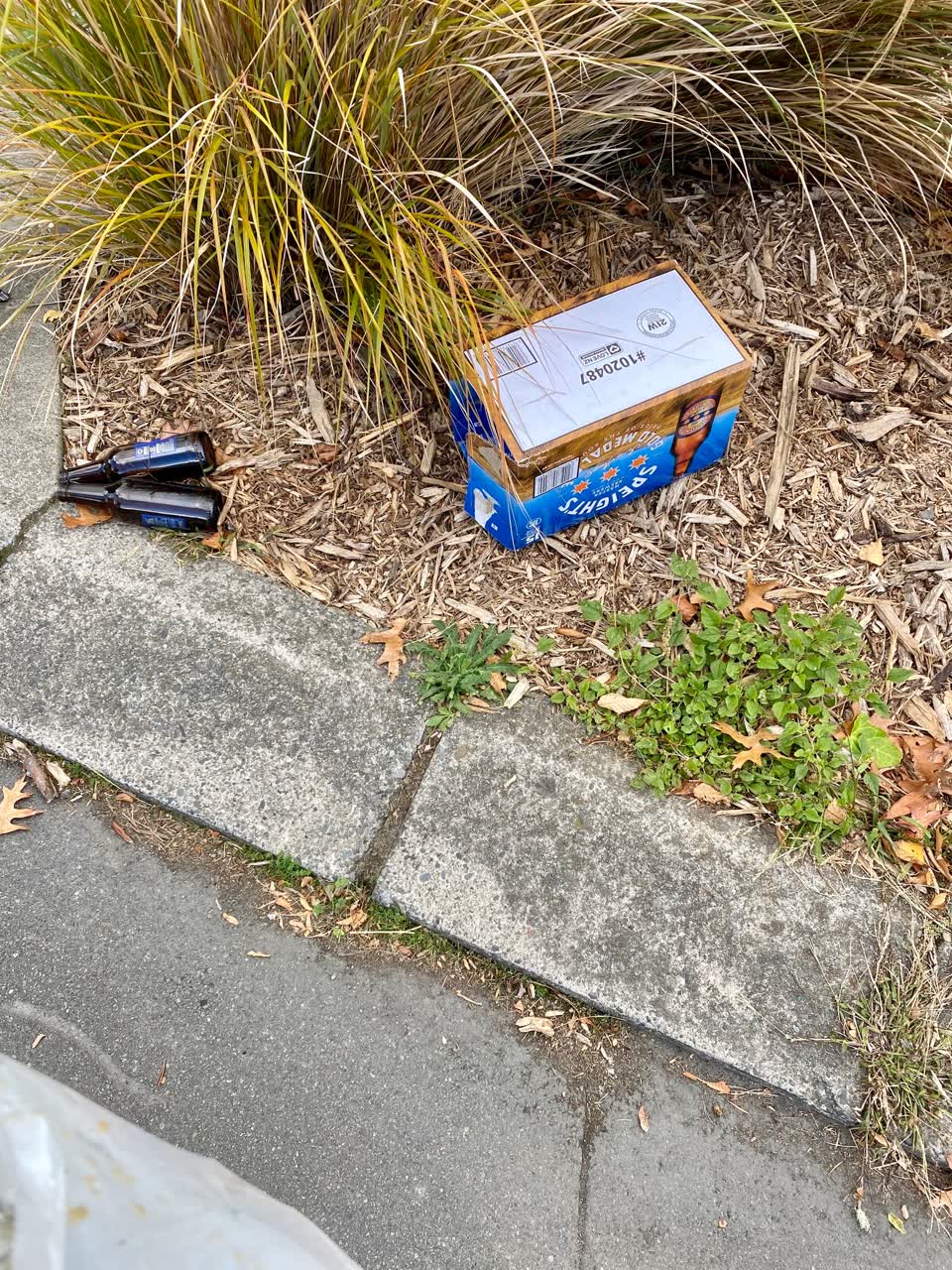 The photograph attached to this rubbish/recycling report