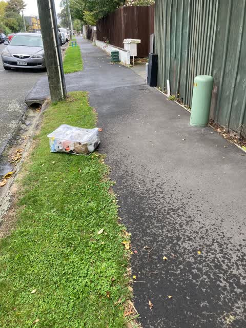 Rubbish/Recycling, a report photo