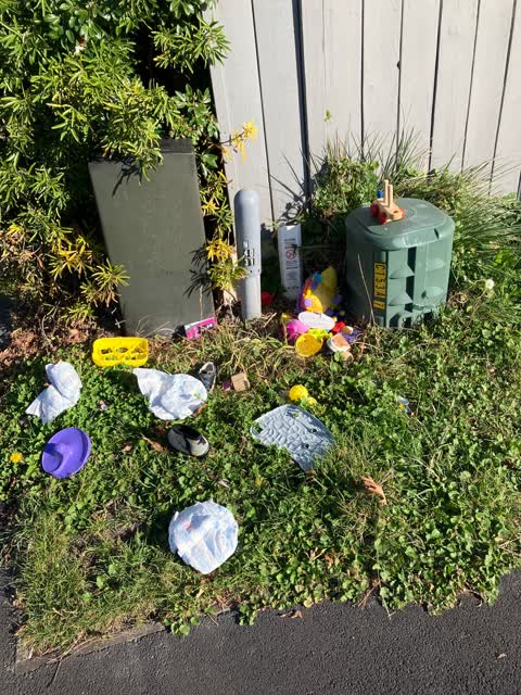 Rubbish/Recycling — a report photo