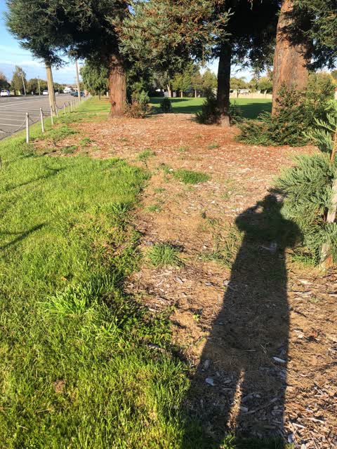 Parks, a report photo