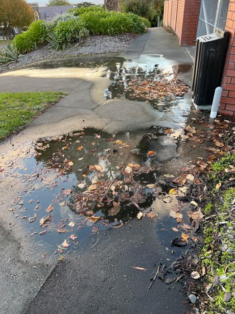 Water Supply, a report photo