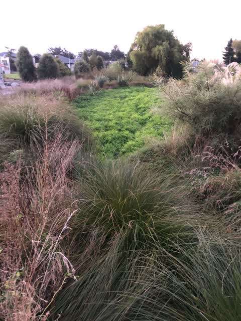 Parks, a report photo