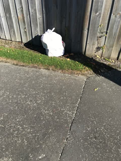 Rubbish/Recycling, a report photo