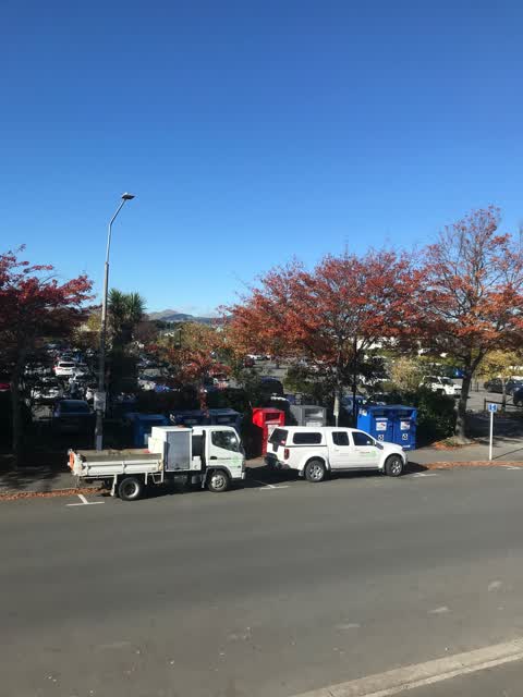 Rubbish/Recycling, a report photo