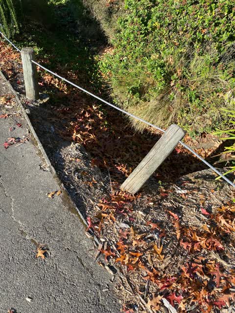 Roading/Streets, a report photo
