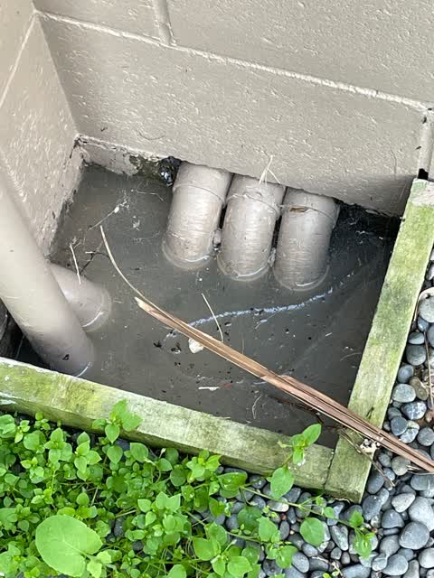 Sewer - Leak / Blockage, a report photo
