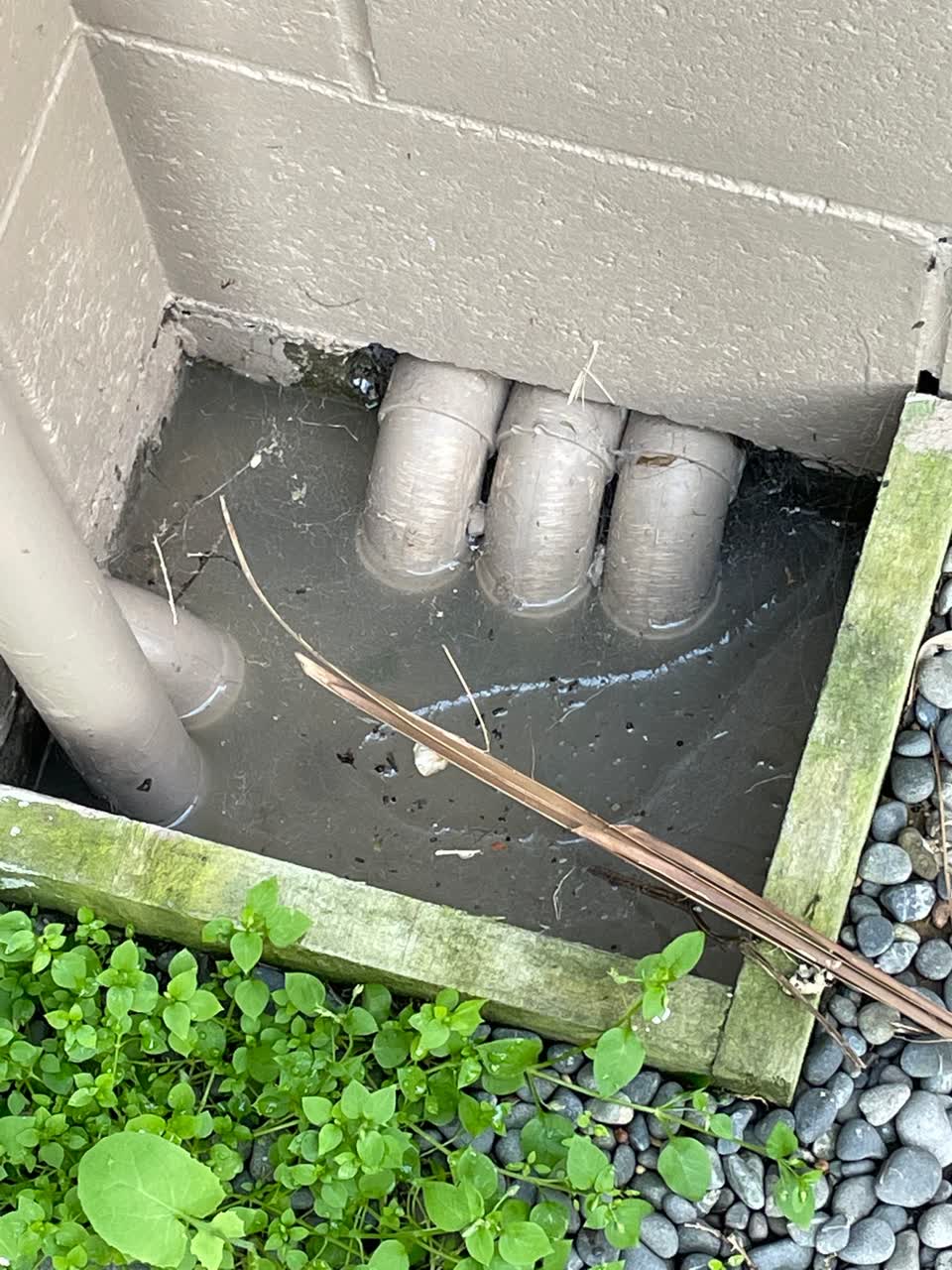 The photograph attached to this sewer - leak / blockage report