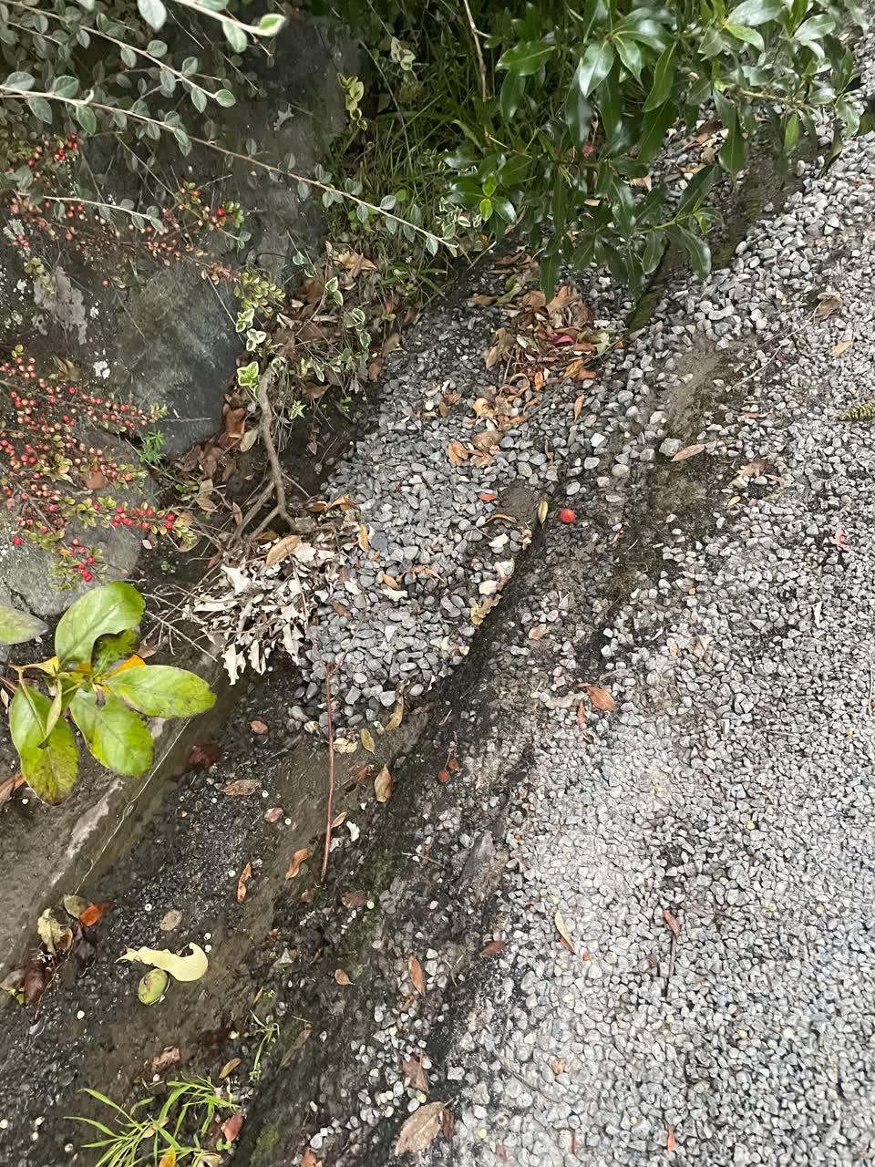 The photograph attached to this roading/streets report