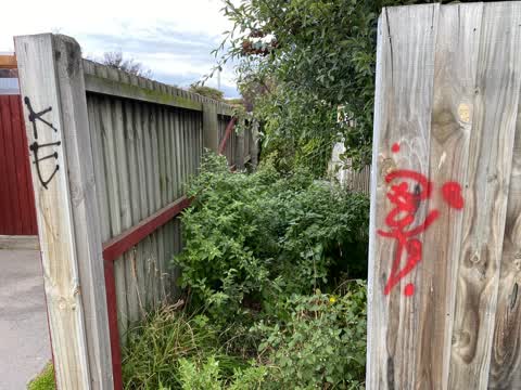 Graffiti, a report photo
