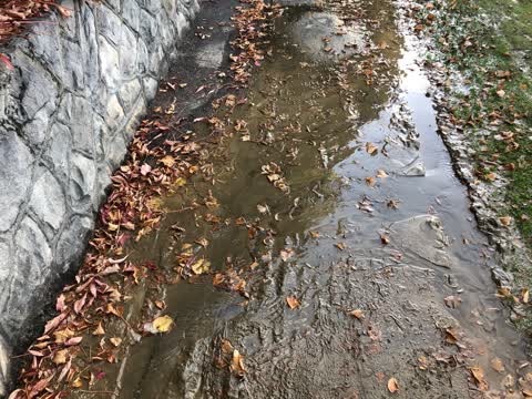 General Request, a report photo