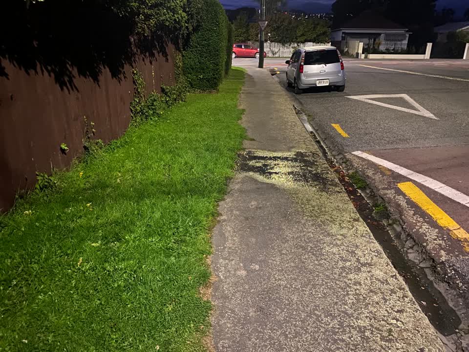 The photograph attached to this water leak report