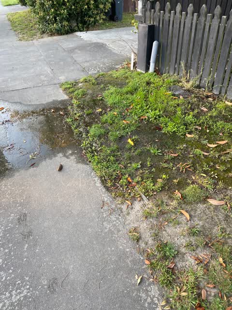 Water Leak, a report photo