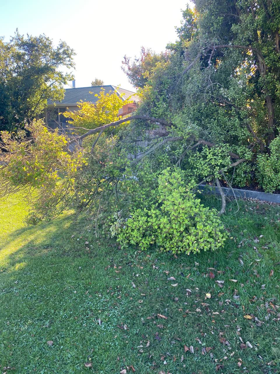 The photograph attached to this parks report