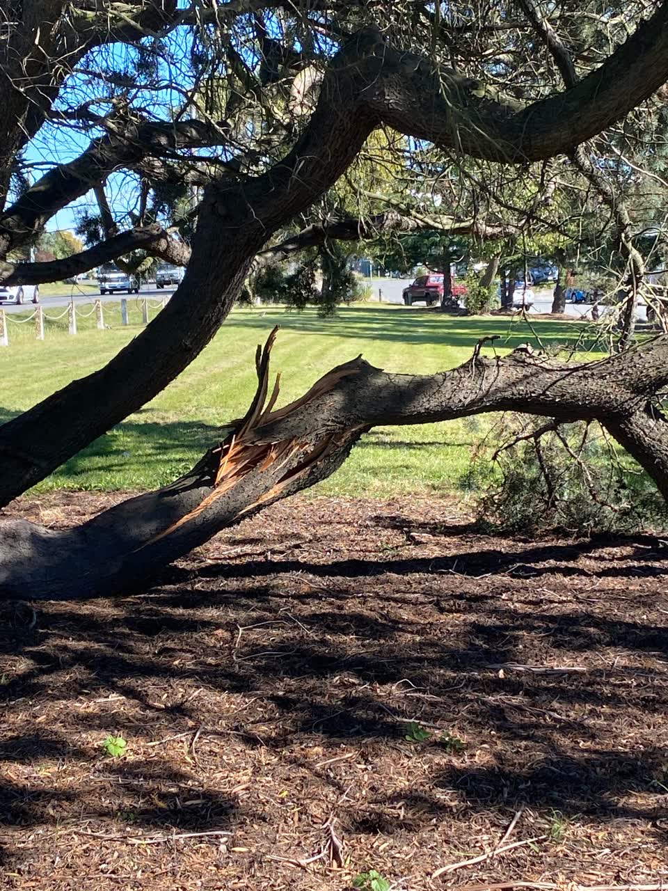 The photograph attached to this parks report