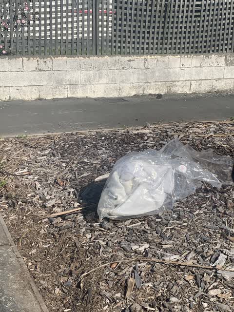 Rubbish/Recycling — a report photo