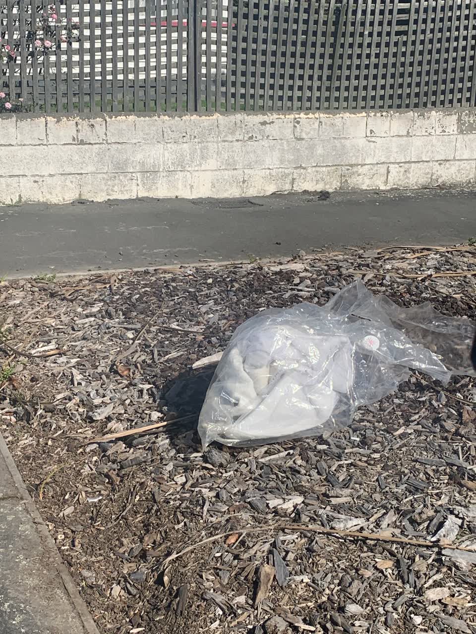 The photograph attached to this rubbish/recycling report
