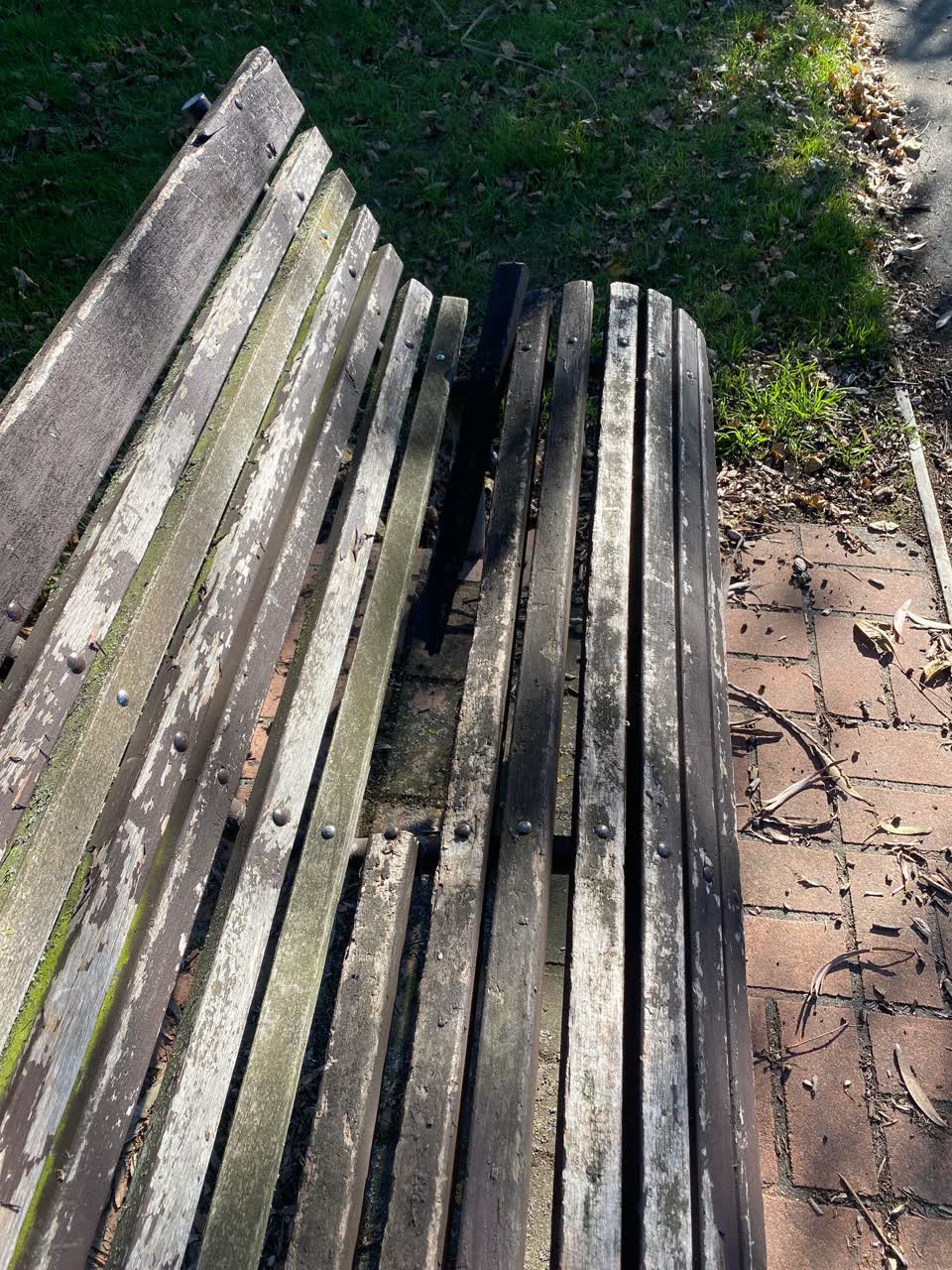 The photograph attached to this parks report