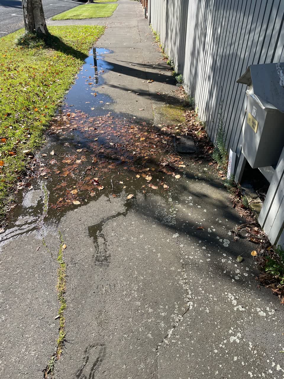 The photograph attached to this water leak report