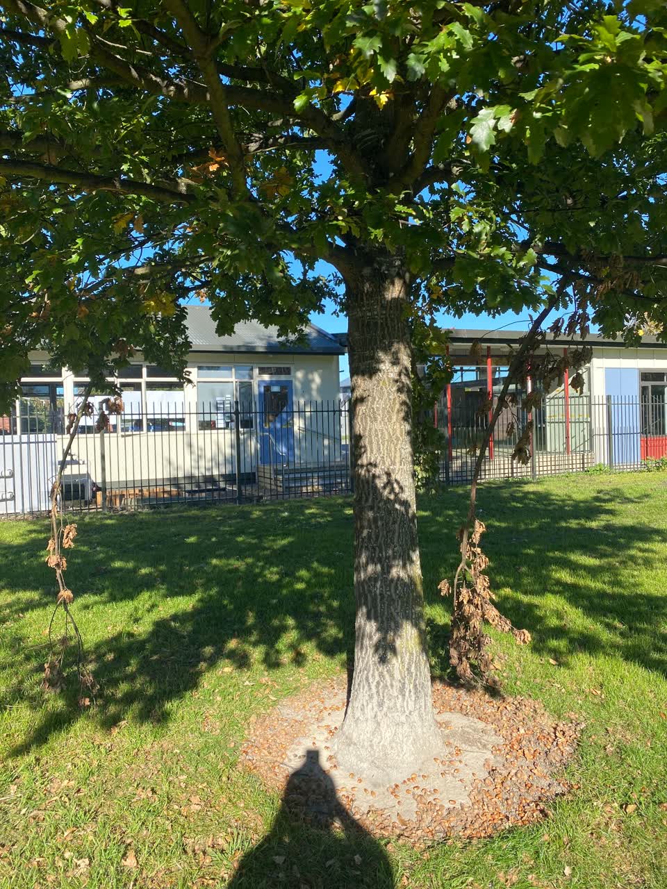 The photograph attached to this parks report