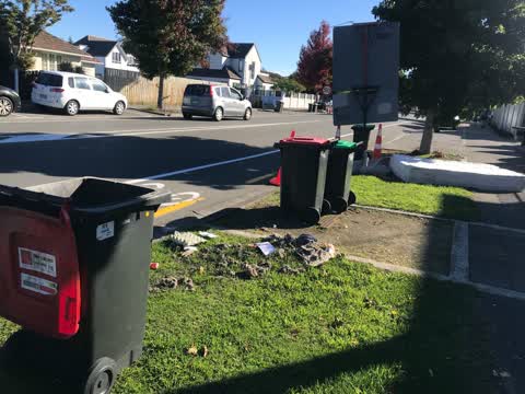 Rubbish/Recycling, a report photo