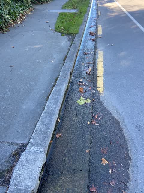 Water Leak, a report photo