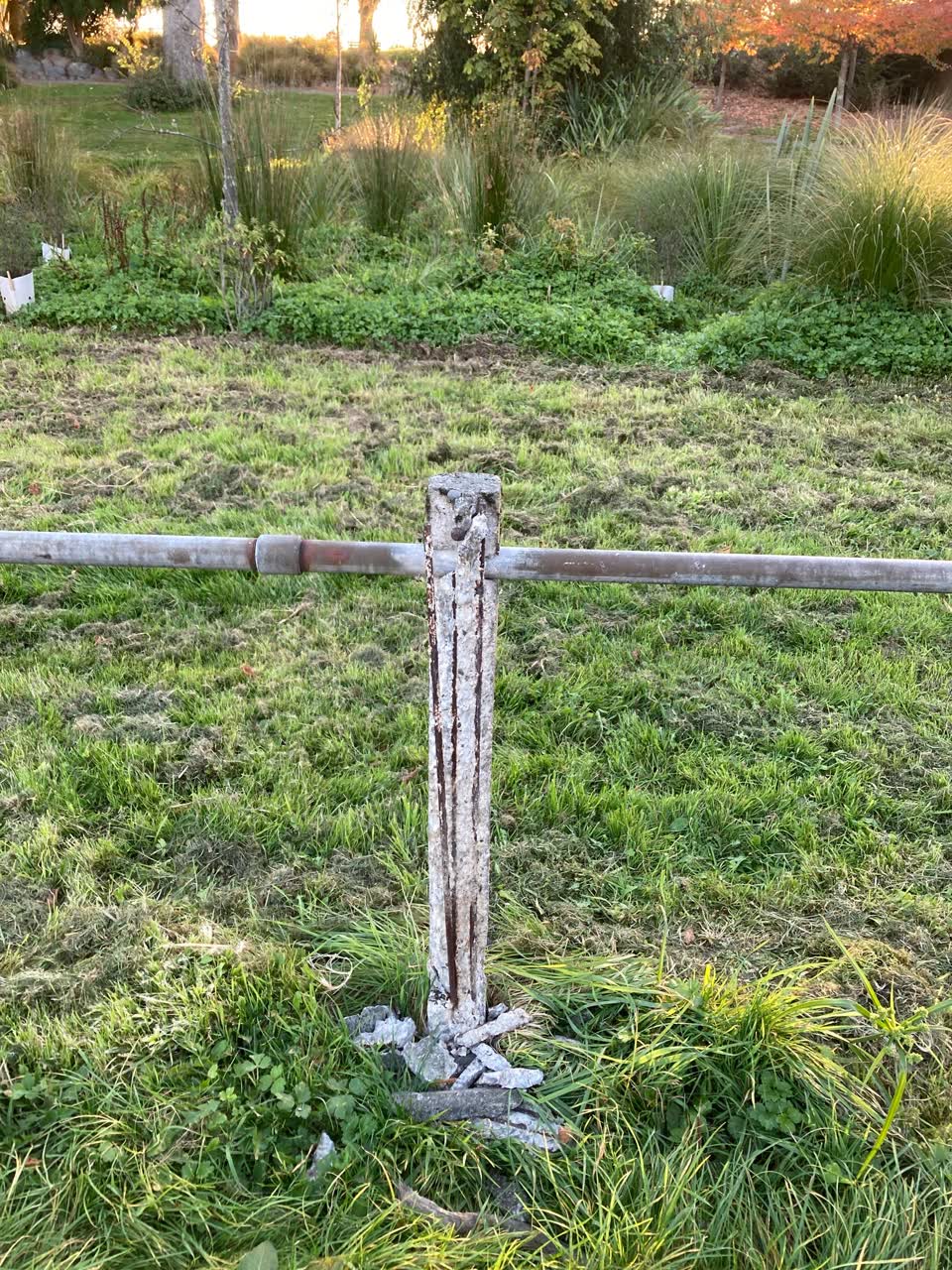 The photograph attached to this parks report