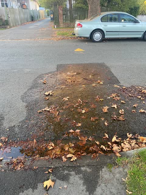 Water Leak, a report photo