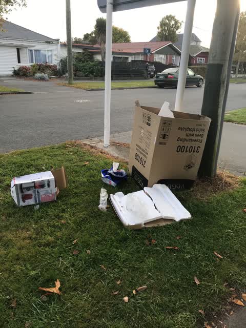 Rubbish/Recycling — a report photo