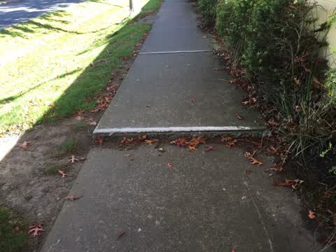 Roading/Streets, a report photo