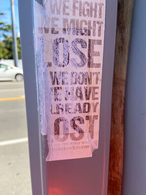 Graffiti, a report photo