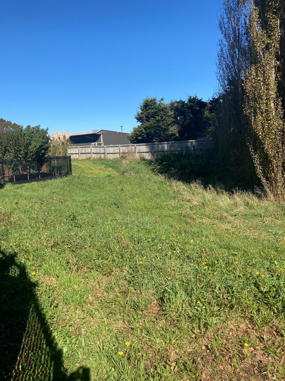 The photograph attached to this parks report