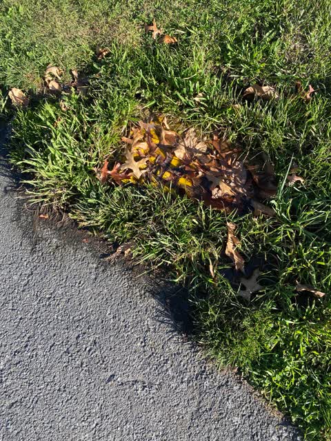Water Leak, a report photo