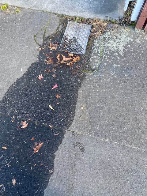 Water Leak, a report photo